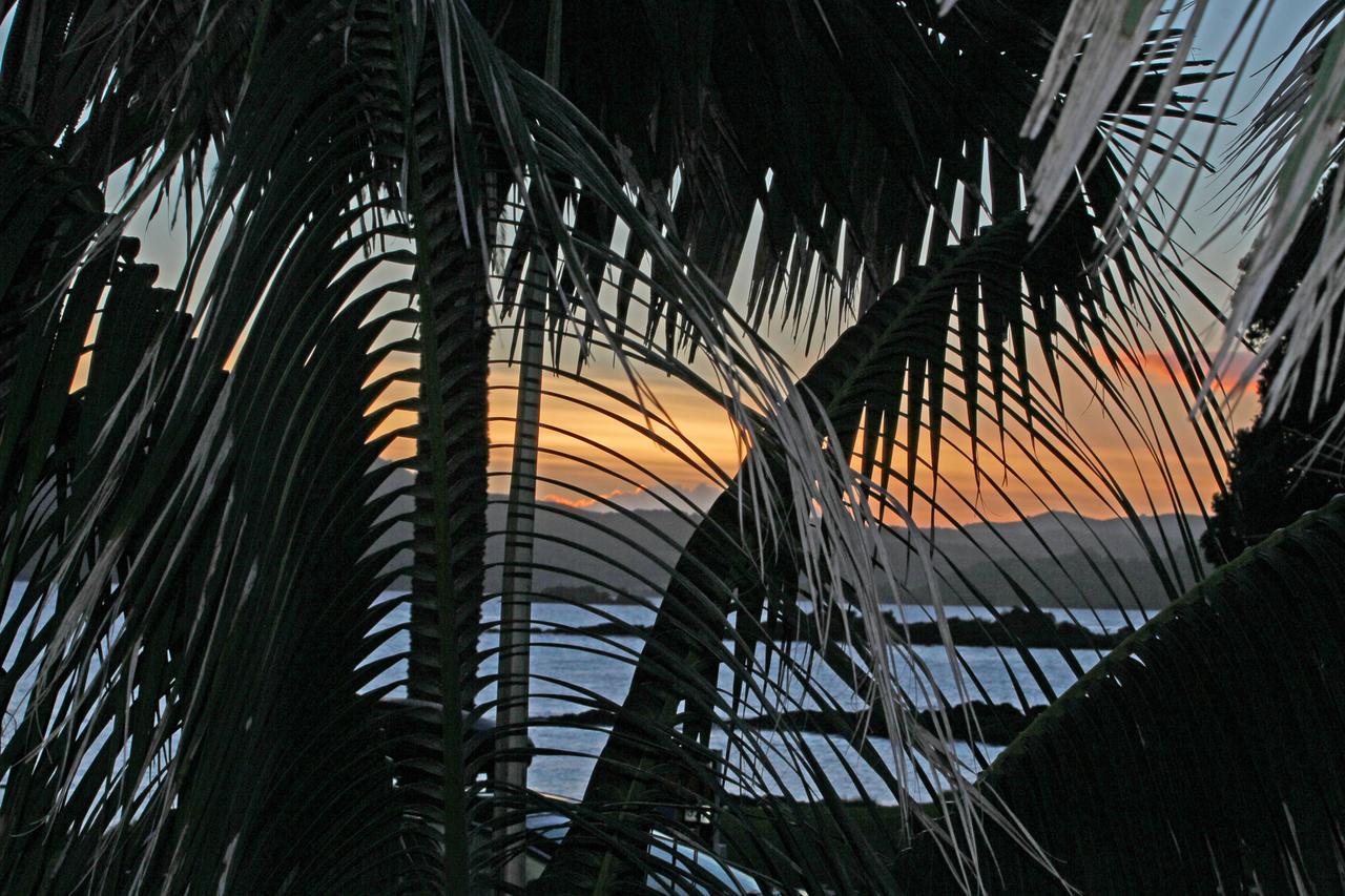 Driftwood Beachfront Accommodation, Cable Bay, Owhetu Coopers Beach Exterior photo